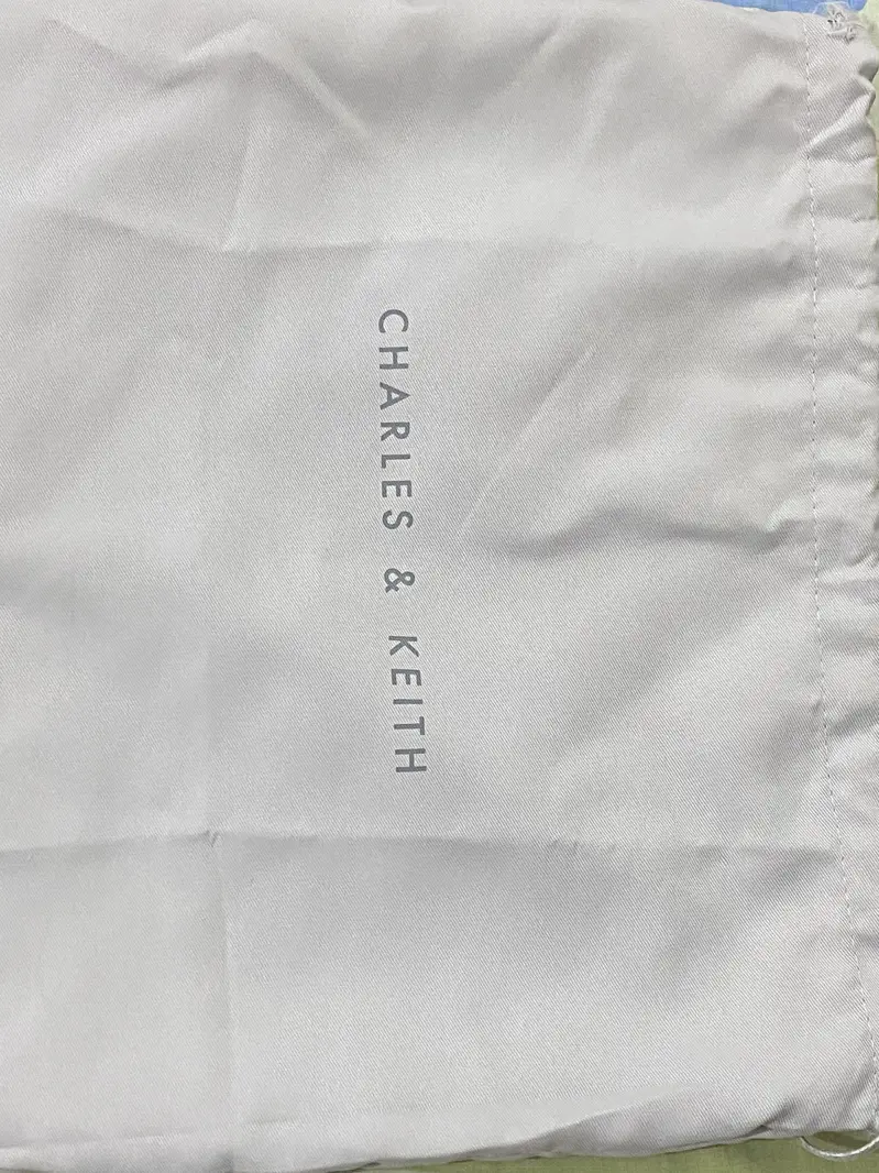 Charles and Keith Handbag

                                                            alt=