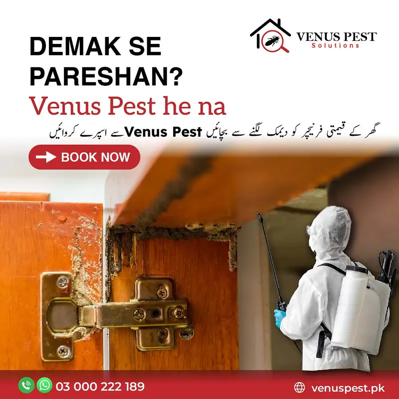 Termite Control/deemak control/Pest control service/Mosquitoes spray

                                                            alt=