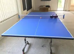 Table Tennis Tables

                                                            alt=