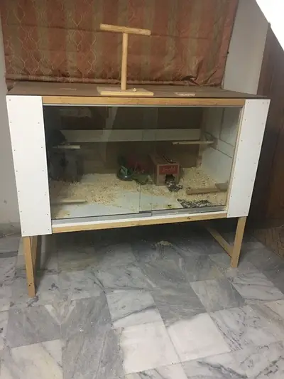 Ad Image