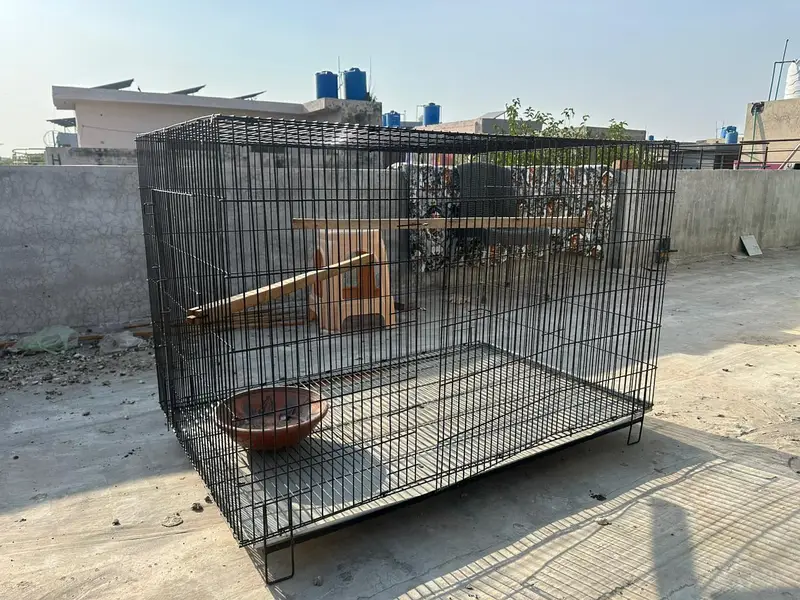 Cage / Birds cage / Hens Cage / Pinjra / Iron Cage / Cage for sale

                                                            alt=
