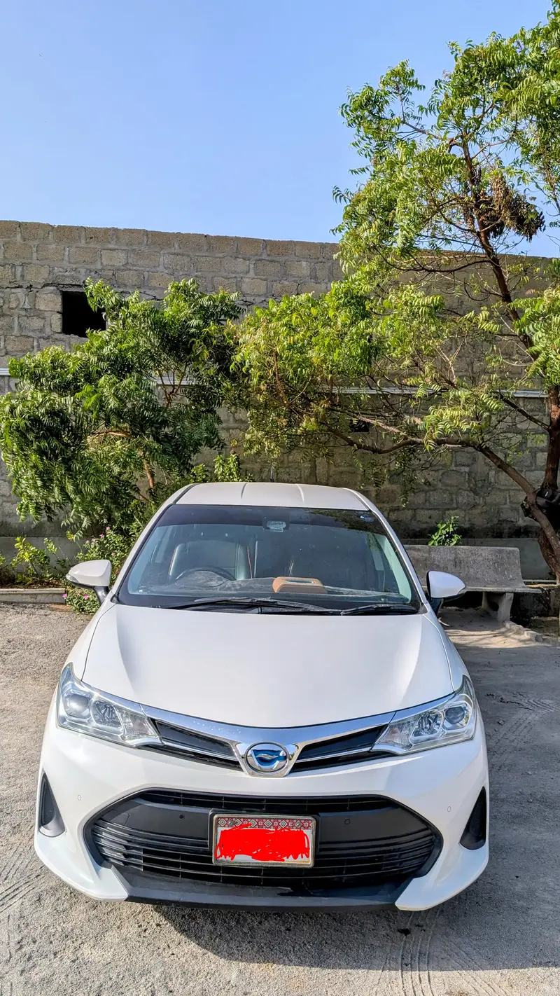 Toyota Corolla Fielder 2020/2025 For Sell

                                                            alt=
