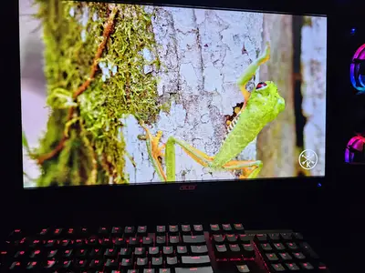 Ad Image