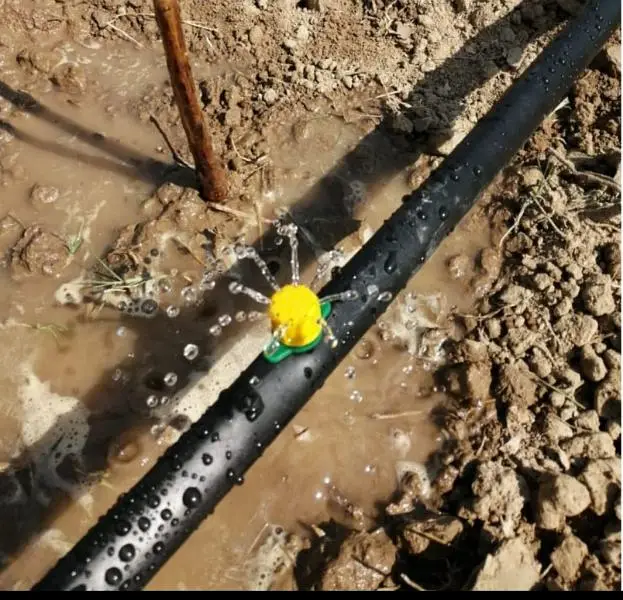 Drip Irrigation and Sprinkling system

                                                            alt=