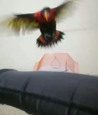 Ad Image