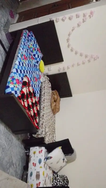 Premium Girls Hostel Safe, Comfortable & Fully Furnished
                                                            alt=