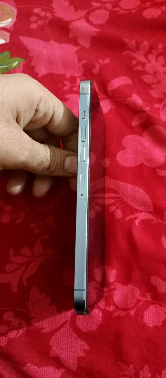 326577
                                                            alt=