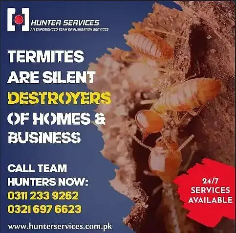 Pest control , fumigation, rats cockroach termite bed bugs ,best price

                                                            alt=