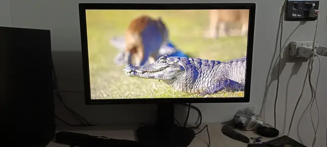 HP/Dell/Lenovo/Acer/Samsung 22inc 24inch 27inch Borderless Led Monitor

                                                            alt=