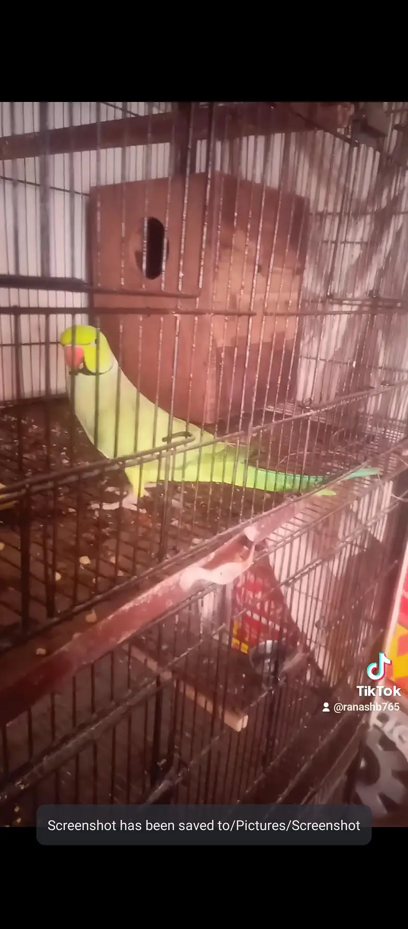 good g

                                                            alt=