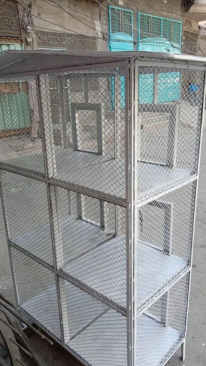 مرغی کا بنجرہ سیل کے لیے marghi ka banjarah sel ke liye

                                                            alt=