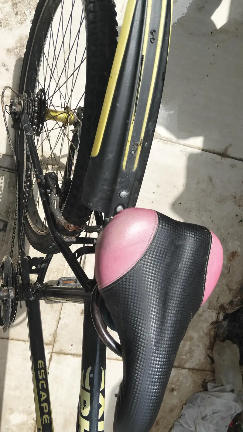 bycysical gari

                                                            alt=