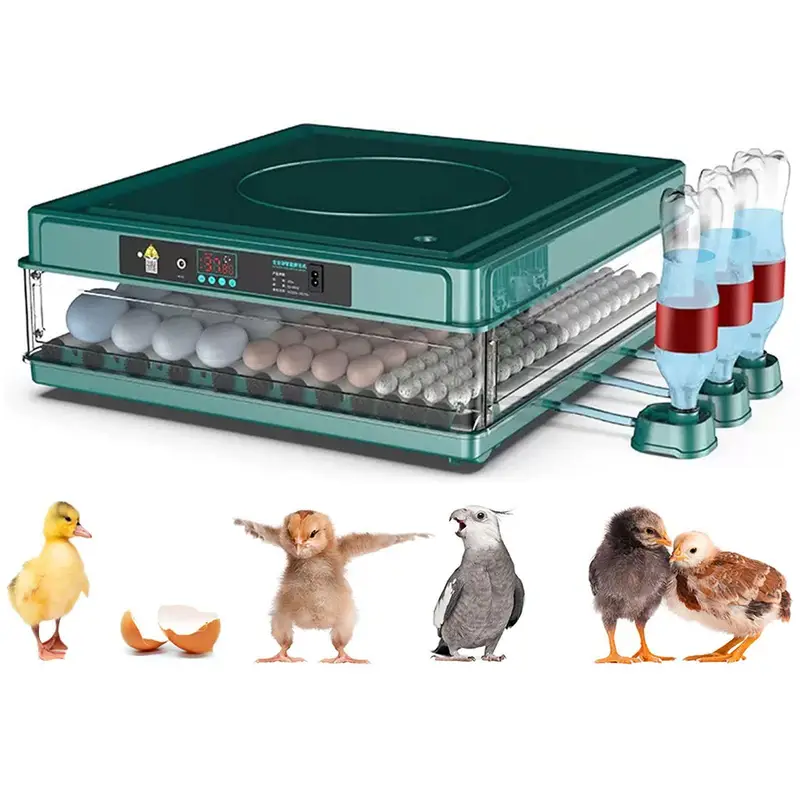 Automatic intelligent 70 eggs incubator dual power

                                                            alt=