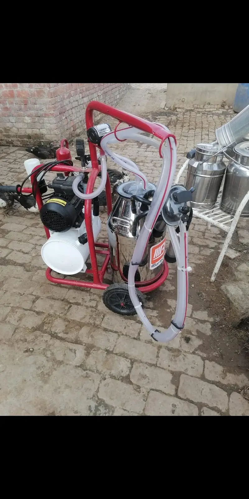 cow milking machine imported made in Turkey

                                                            alt=