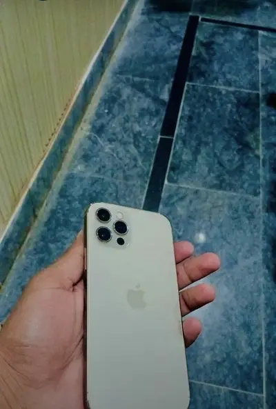 iPhone 13 Pro

                                                            alt=