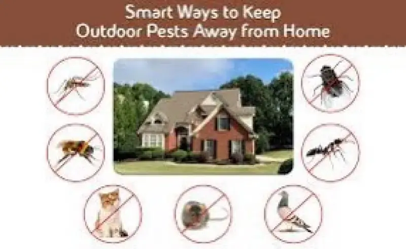 Termite & Pest Control Fumigation Mosquitoes Dengue Spray Deemak Rats

                                                            alt=
