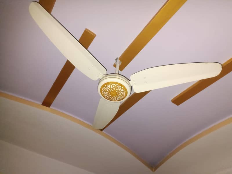 Royal pure coper fans bari moter

                                                            alt=