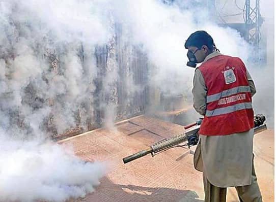 Dengue Spray/Mosquitos Spray/Pest Control & Fummigation Spray Service

                                                            alt=