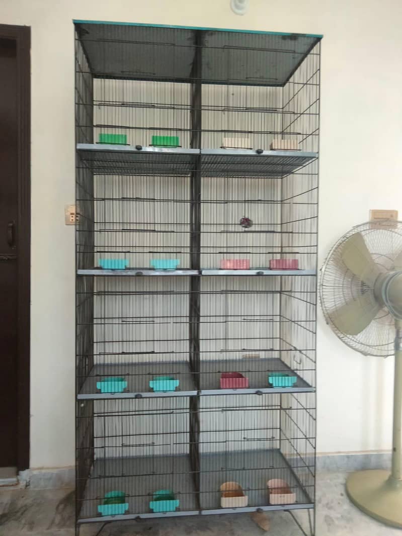 Love birds cage

                                                            alt=