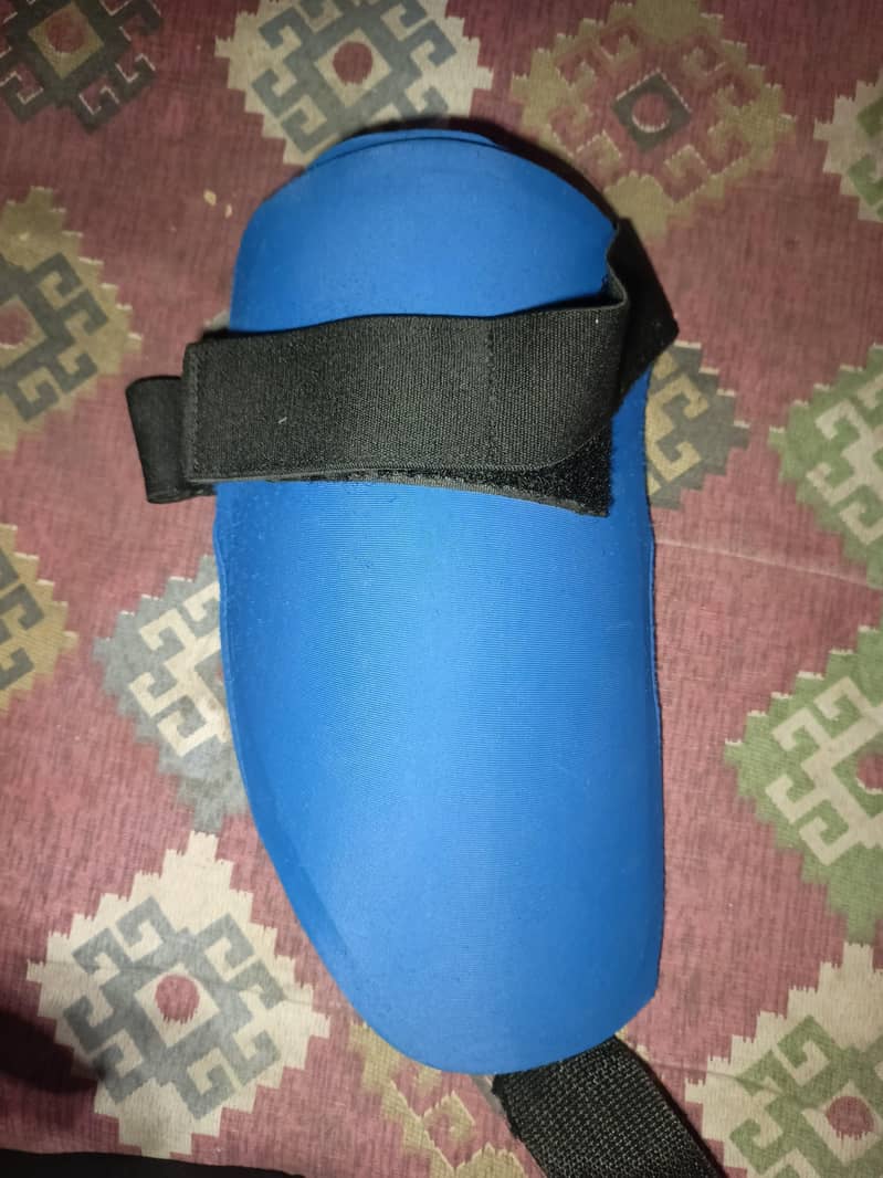 Moonwalker Blue Color Thigh Pads

                                                            alt=