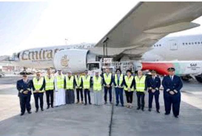 |Packing| |Office Boy||Bike Rider| |Ac Tech| |Driver||Chef|Helper|

                                                            alt=