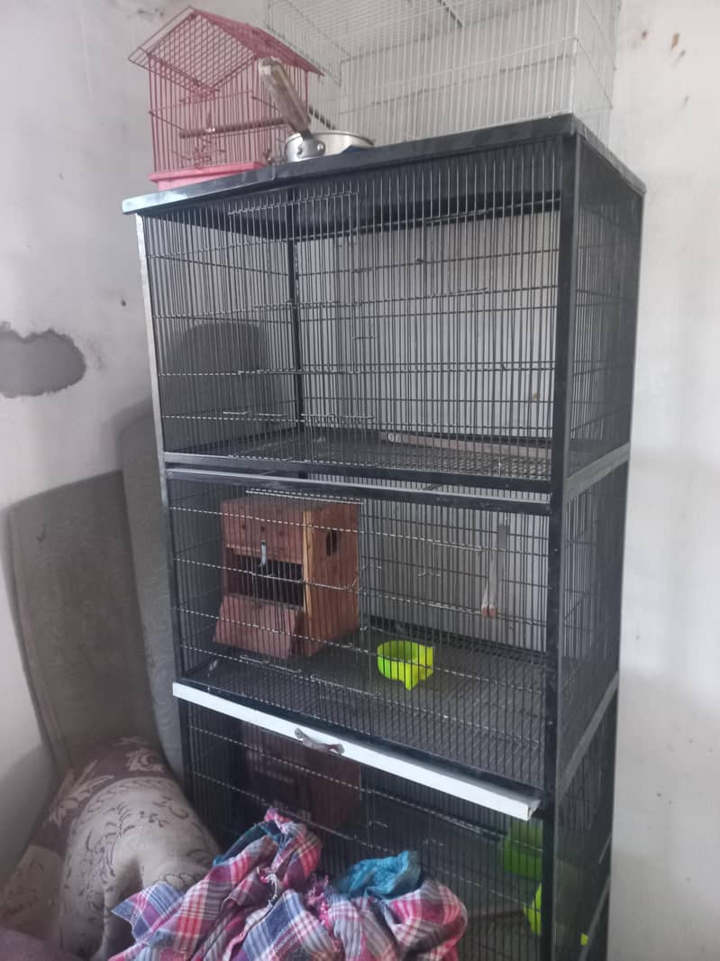 Steel Cage 2.5*1.5 Just 1 season Used

                                                            alt=