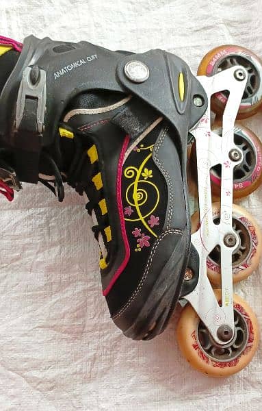 sackting showes low price

                                                            alt=