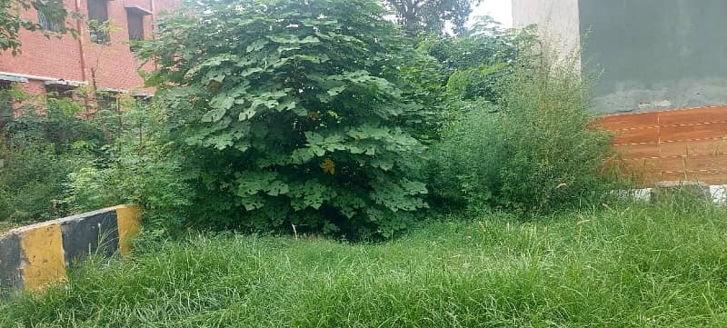 Residential Plot Available For Sale

                                                            alt=