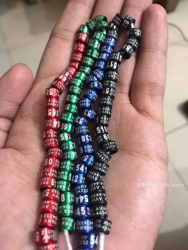 Birds Rings Love birds Rings

                                                            alt=