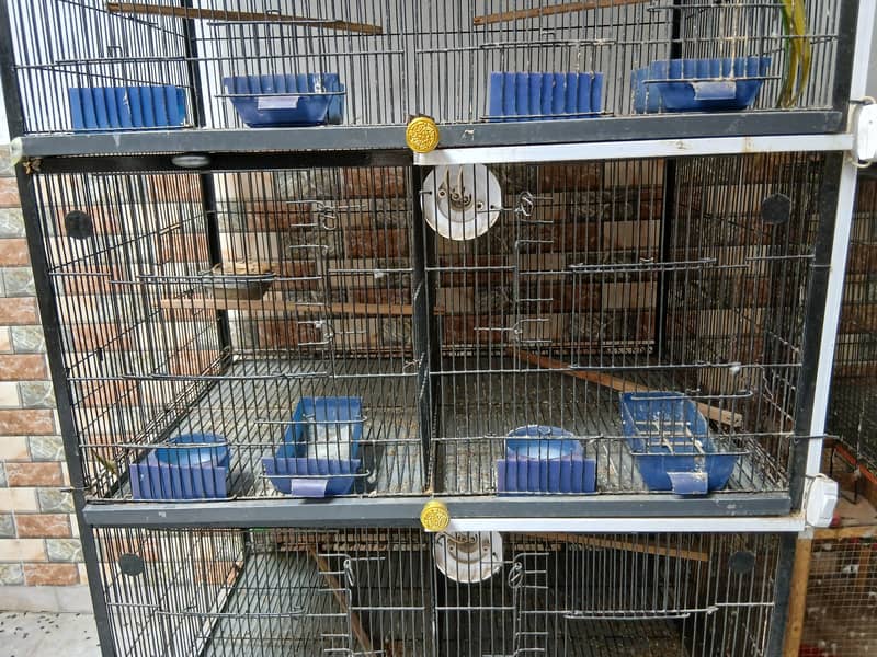 Cage for sale Half angle cage 8 protion wala 10/10

                                                            alt=