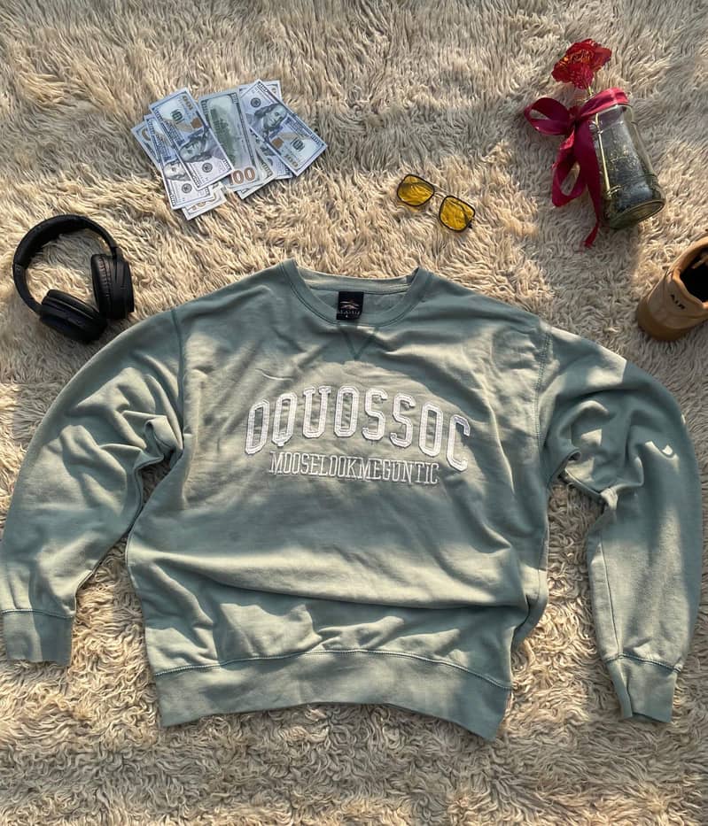 Stylish Winter Sweatshirts / Sweaters – Premium Condition

                                                            alt=