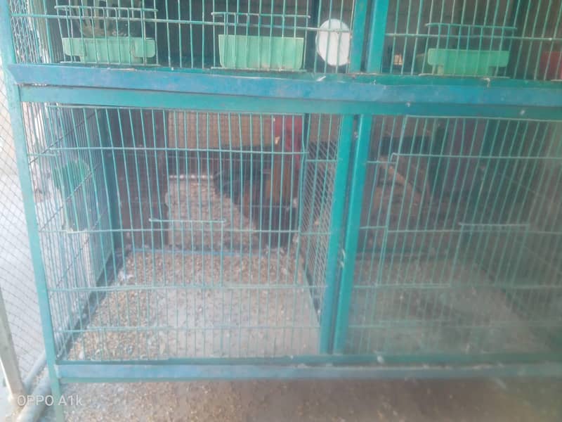 java and cage

                                                            alt=