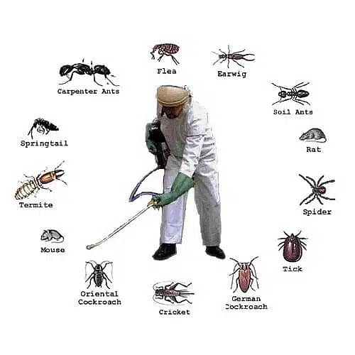 Fumigation services,Pest control,Termite spray,demak control services

                                                            alt=