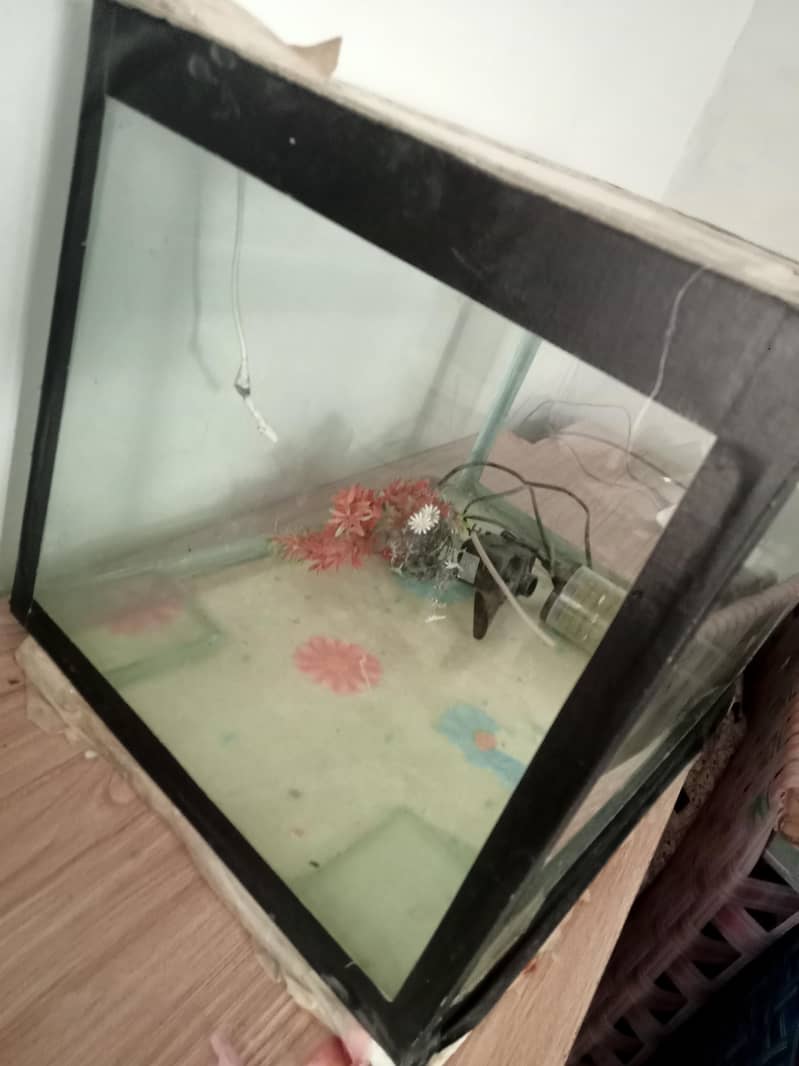 aquarium for sale with all accessories

                                                            alt=