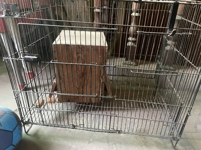 cage for sale

                                                            alt=