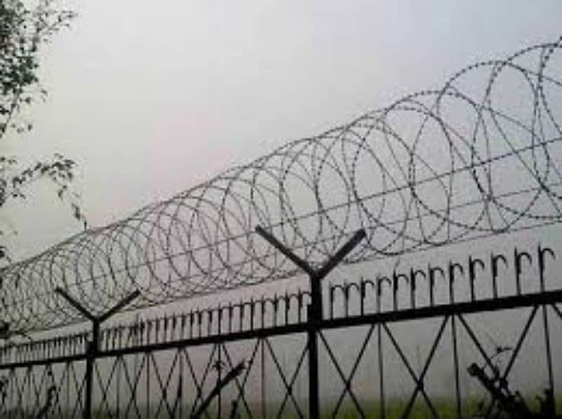 Mesh available on best price | Razor Wire & Electric Fence For Sale

                                                            alt=
