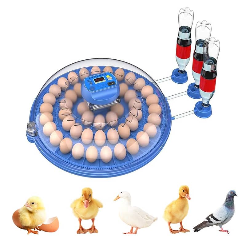 WHOLESALE PRICES intelligent 52/26/8 eggs and dual power incubators

                                                            alt=