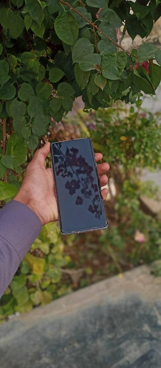 One Plus 8

                                                            alt=