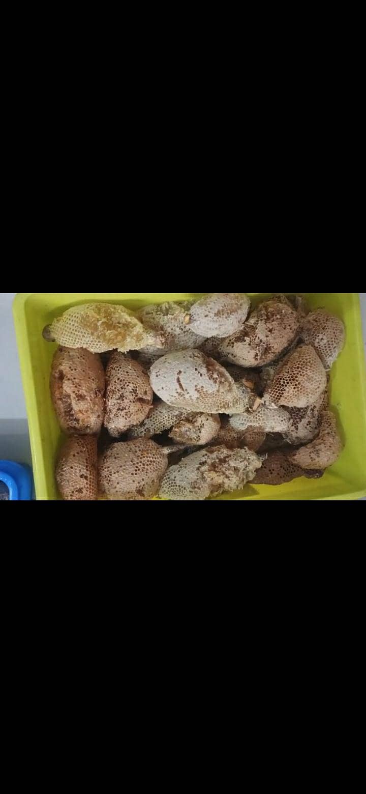 sider wild honey_ wholesale & retail_delivery in punjab

                                                            alt=