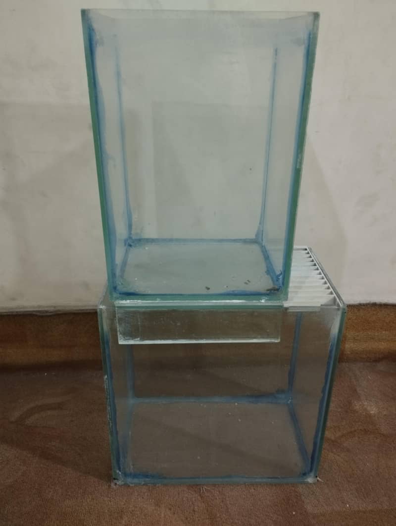 fish tank

                                                            alt=