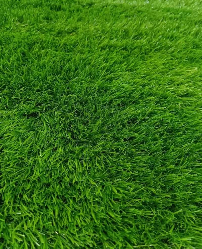 Artificial grass carpet Astro turf sports grass Fields Grand interiors

                                                            alt=