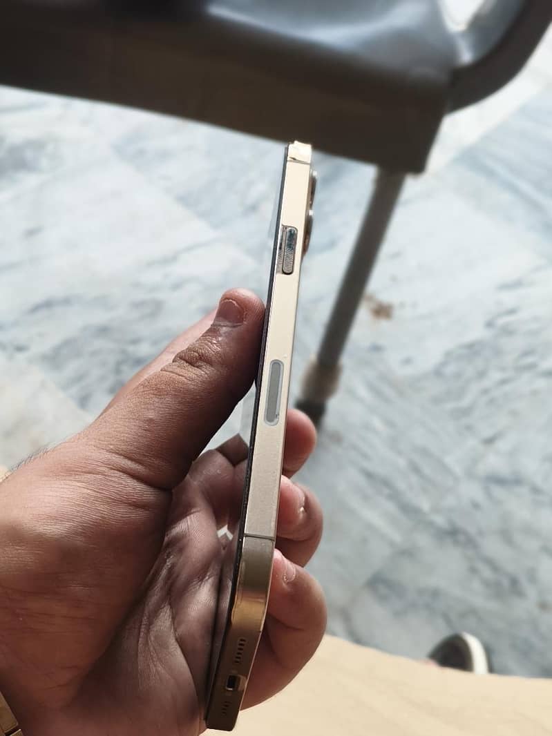 12 pro max dual pta approved

                                                            alt=