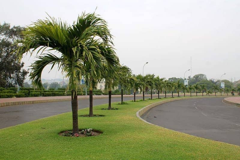 120 Yards Plot In Block C

                                                            alt=