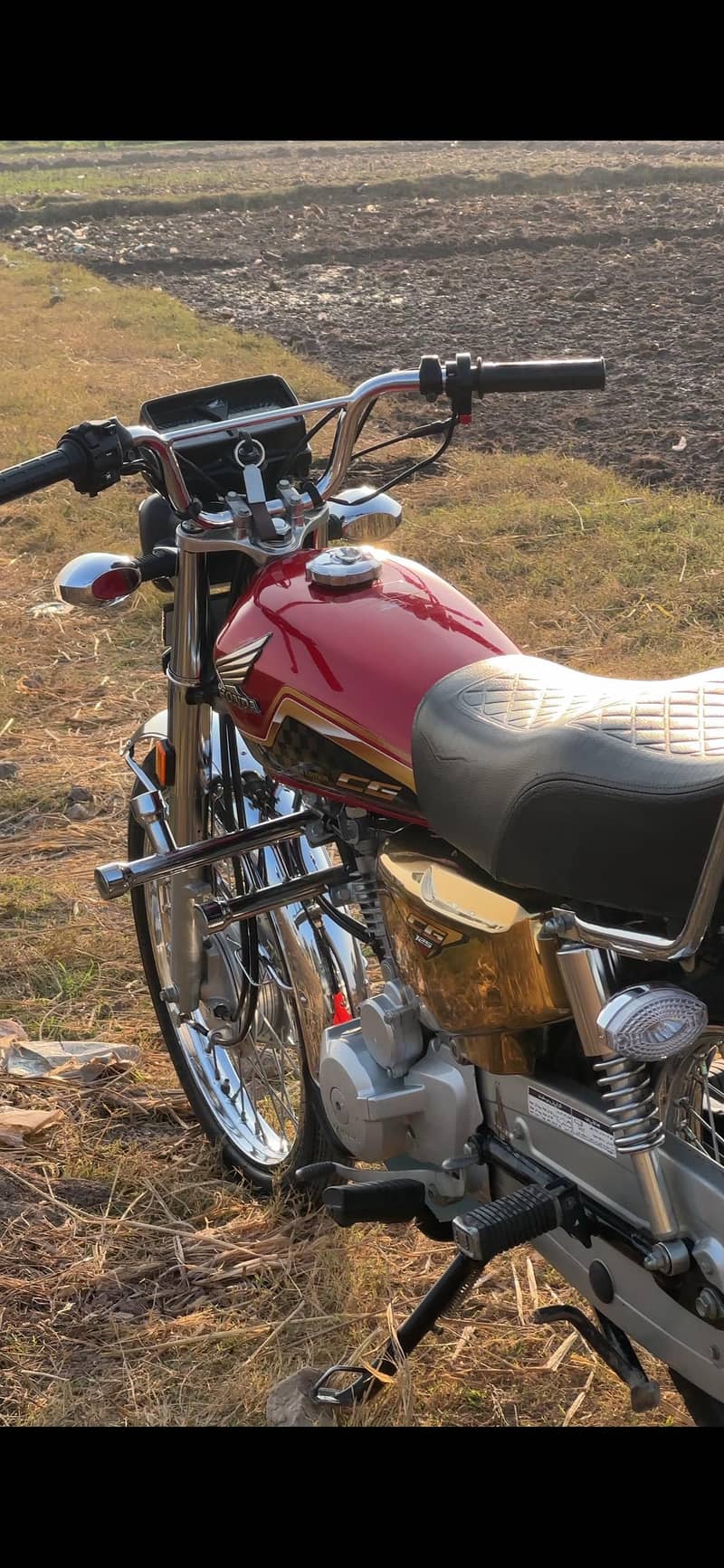 HONDA | CG 125  || Special gold Edition || Model 2024

                                                            alt=