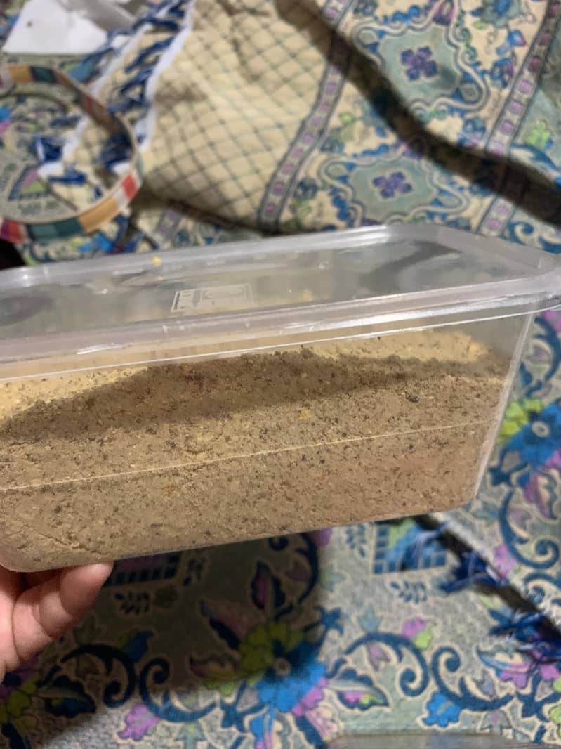 home made fresh dasi ghee makkan achar panjiri pinian

                                                            alt=