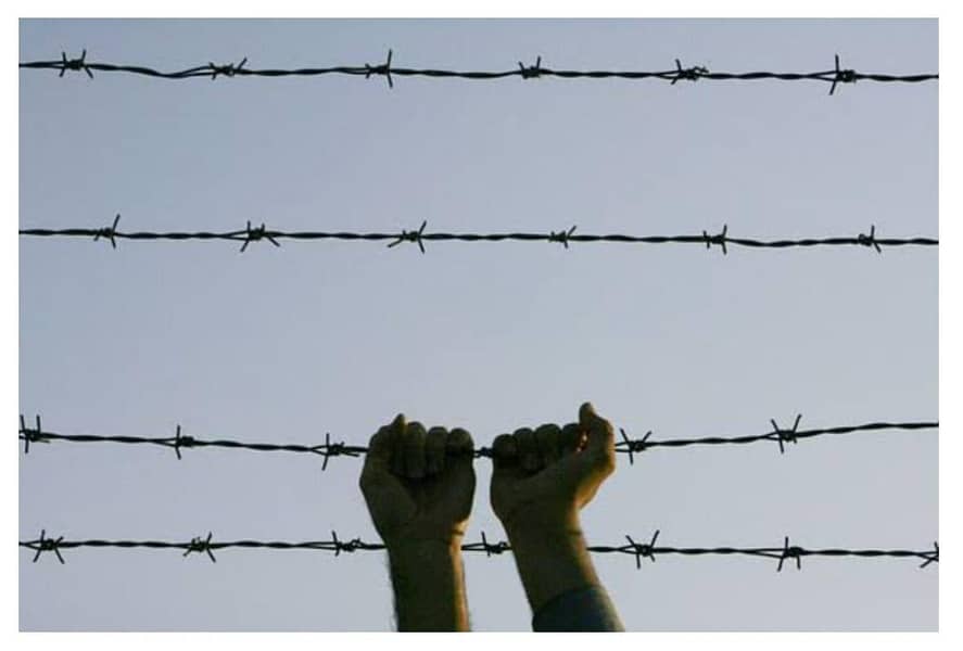 Welded Mesh Jali Chain Link Fence Razor Wire Barbed Wire Security Wire

                                                            alt=