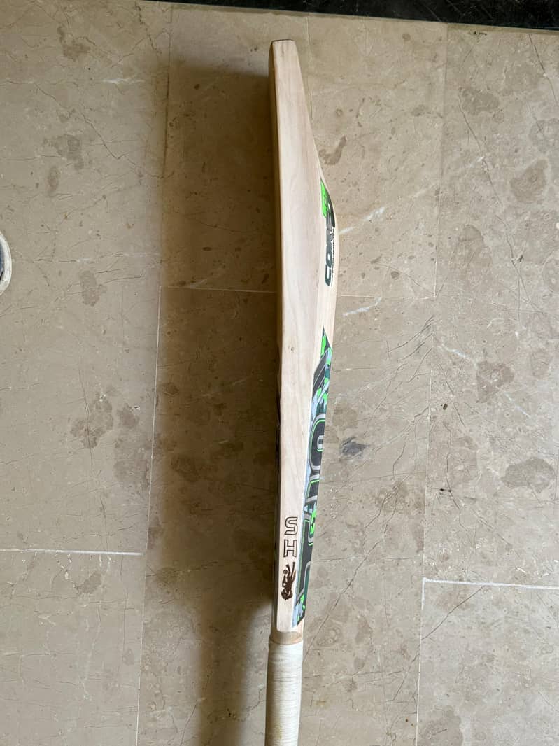 Professional level Cricket Bat

                                                            alt=