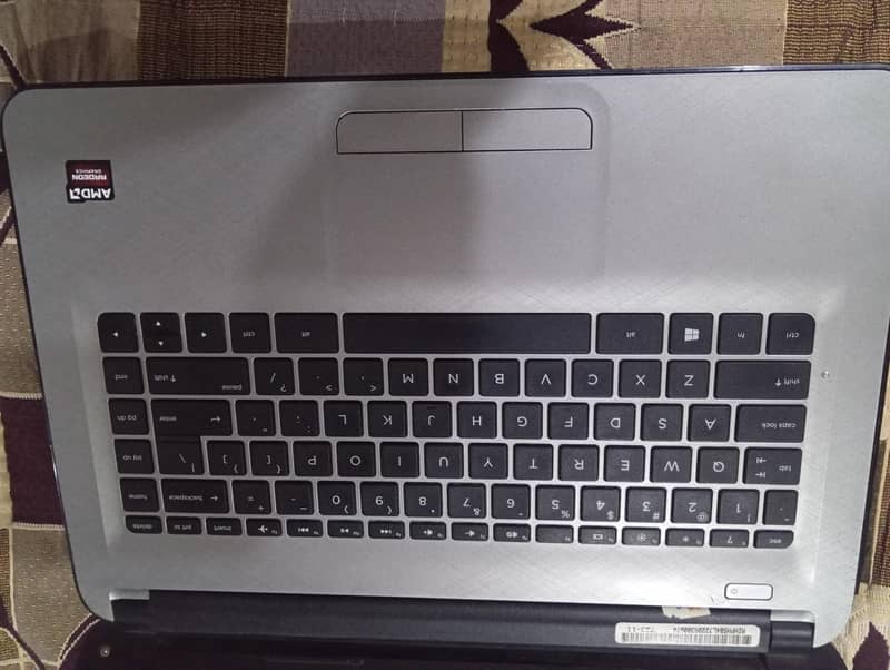 HP AMD  radeon graphics

                                                            alt=