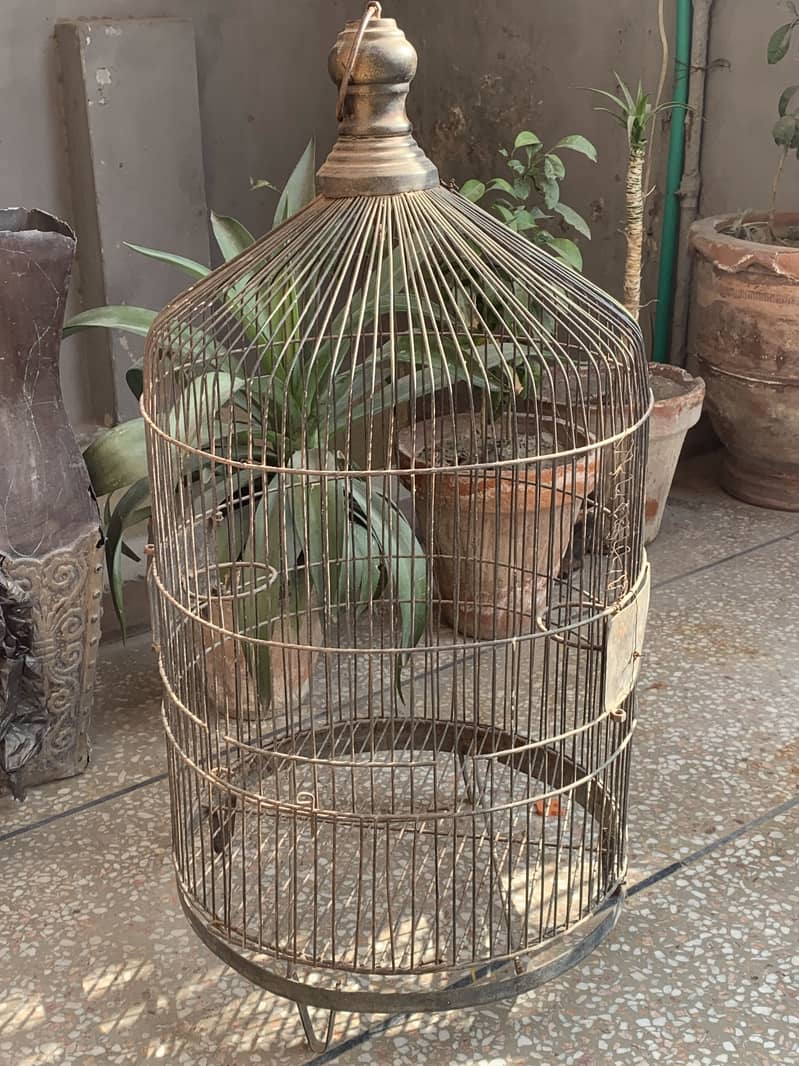 Parrot Iron cage

                                                            alt=