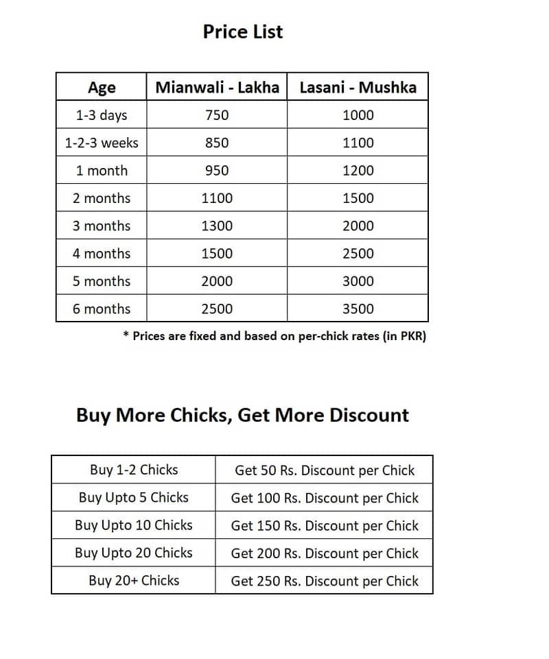 Aseel Chicks of Mianwali Lasani Lakha Jawa Mushka Heera, Fertile Eggs

                                                            alt=
